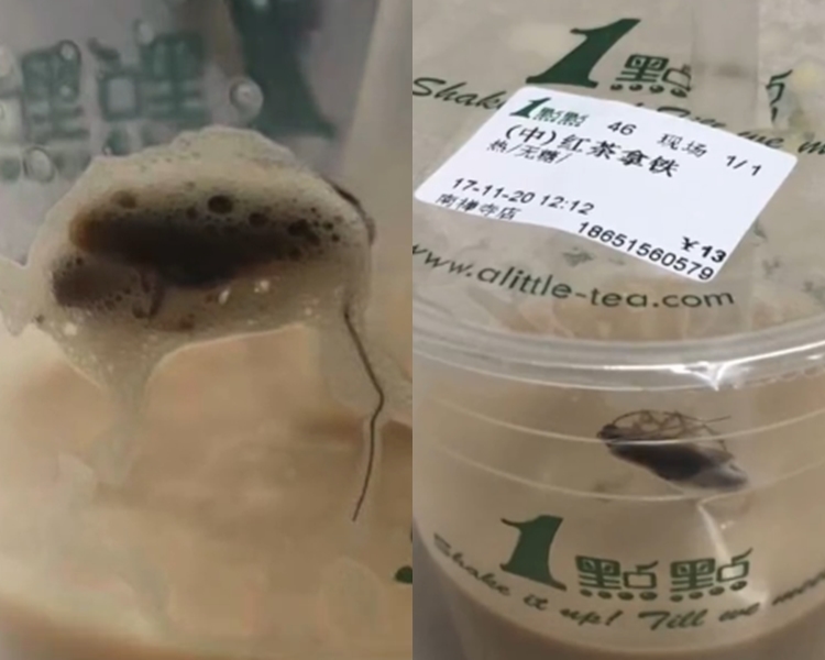 劉女士喝到一半後發現杯中有一隻蟑螂。