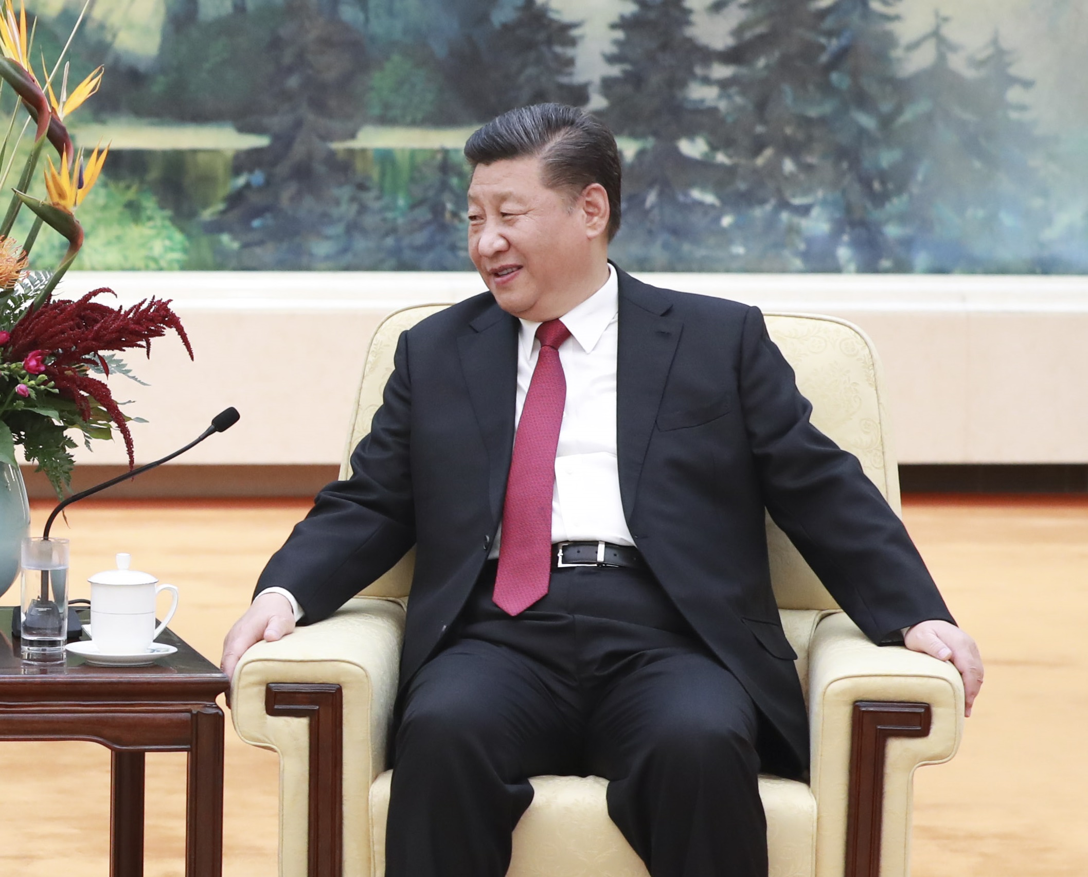 國家主席習近平。新華社資料圖片