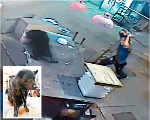 凍肉工揮棍狂毆黑唐狗 官指打到球棍都斷或考慮判監