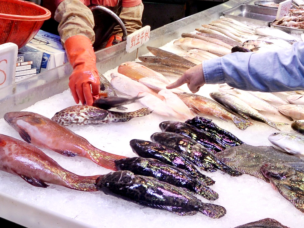 政府擬就如何人道地屠宰活魚制定指引,供食環署轄下街市魚檔作參考。資料圖片