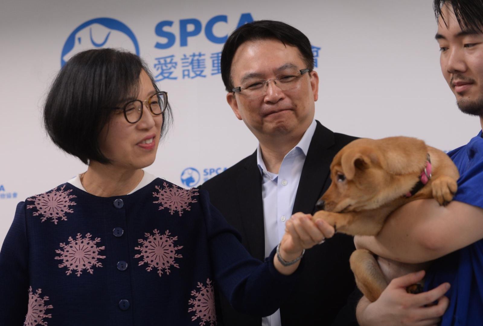 被問及修例未涵蓋漁護署人道毀滅問題,陳肇始回應指,漁護署有既定的機制。