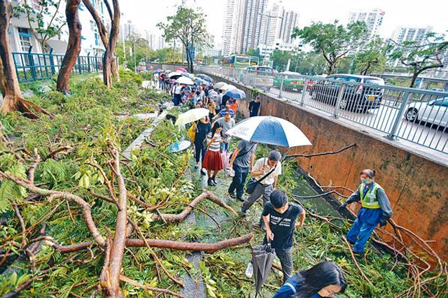 超強颱風山竹去年襲港,幾乎癱瘓全港。 資料圖片