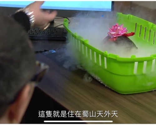 《愛回家》靈龜藏乾冰箱捱批 無線稱劇情需要