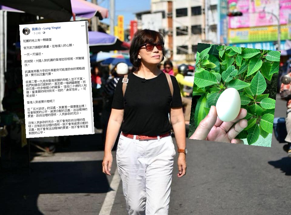 龍應台FB圖片