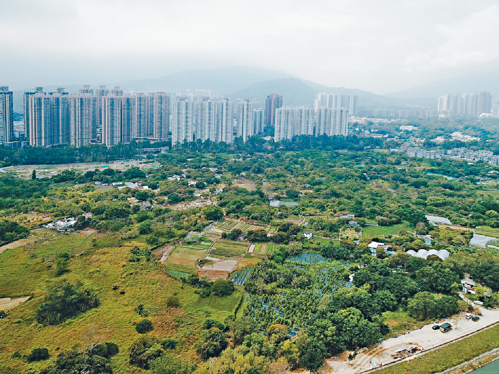 民建聯促引用《收回土地條例》,收回新界農地。資料圖片