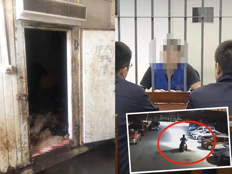 男子為吃狗肉藥殺上百條狗藏冰庫,還打算賣給飯店。(網圖)