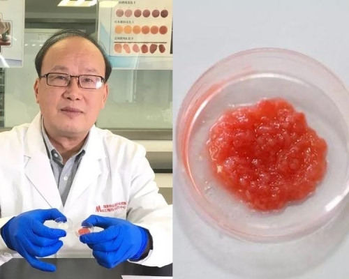 南京農業大學研發出中國第一塊人造培養肉