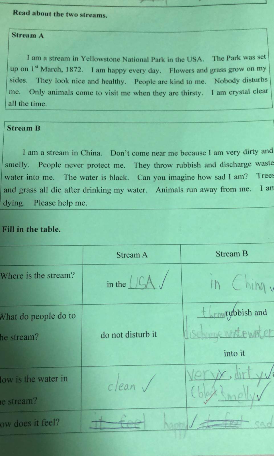 涉引起爭議的小二工作紙。 網圖片