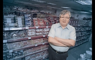 擴展過速 王國盛轉衰 零食反斗星 759老闆猝逝