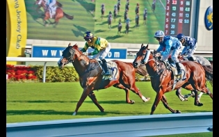 馬場浮世繪——勝利寶石創造兩個「連捷」