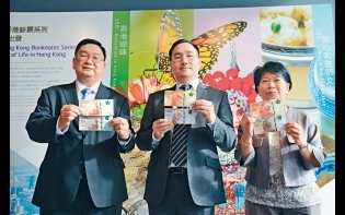 新版金牛今推出