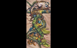 星級時裝攝影展