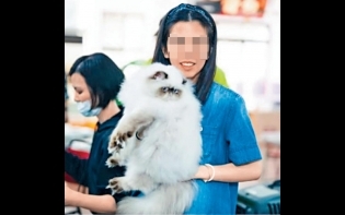 主人今飛港報警 港婦涉台灣偷名貓 扮大肚走私入境