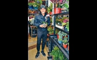 唔怕肉麻 元宵買蘭花O氹妻女 任達華要愛琦琦一萬年