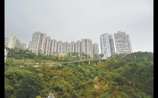 市場氣氛不俗 北角半山豪宅中型單位成交量穩