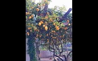 任意行——意南湛藍之海