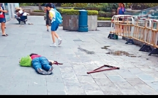 同行孫兒 狂哭叫嫲嫲 狗臂架飛墮 砸殺過路婦
