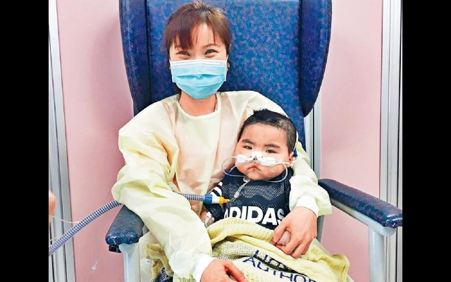 全港最年幼個案 爸媽喜迎奇蹟 小智愷換心重生