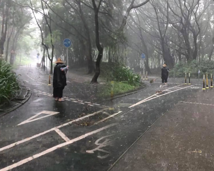 清道夫在暴雨下工作。Joshua Chui相片