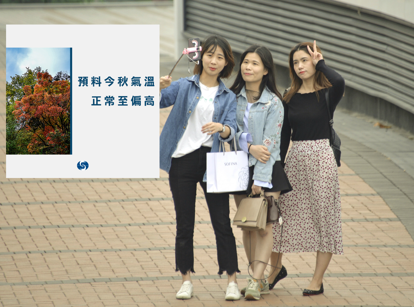 天文台料今年秋季偏暖少雨。資料圖片