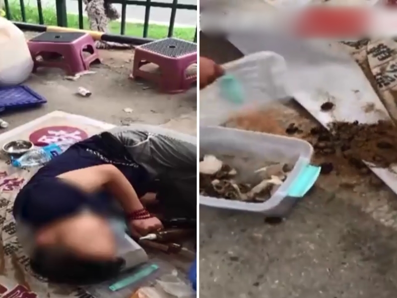 江蘇一名交通隊輔警在巡邏時發現一名男子昏迷倒地,身上還爬滿毒蠍子。影片截圖