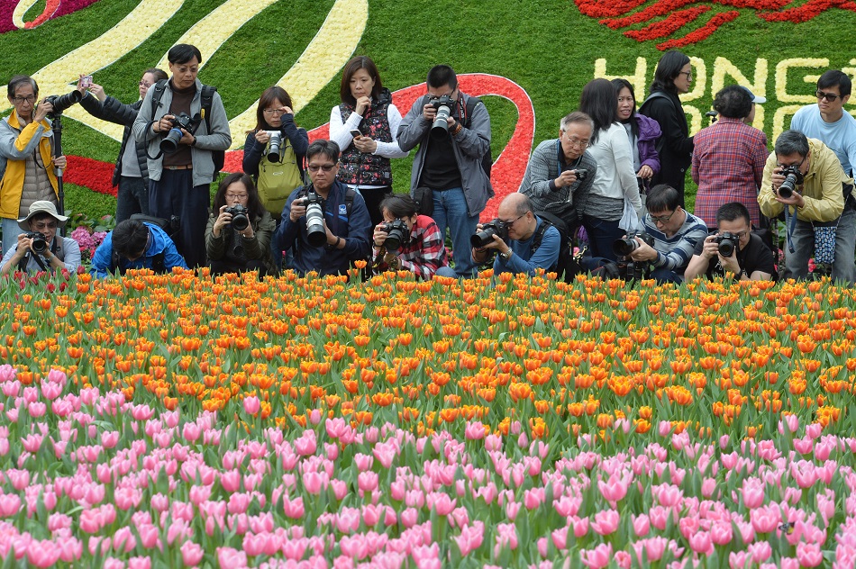 武漢肺炎 康文署宣布3月維園香港花展取消 頭條日報