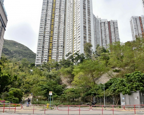 【地皮開標】大昌集團斥逾13億奪鴨脷洲地皮