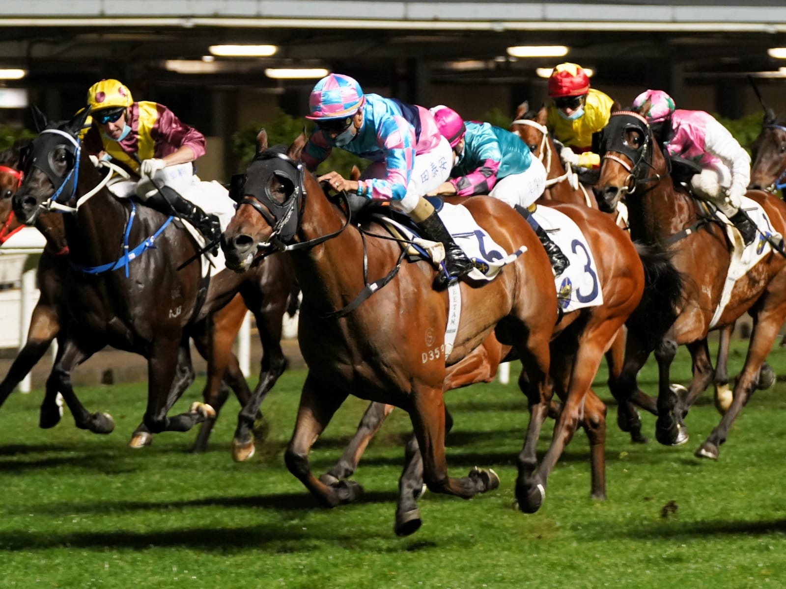 馬場密探048 冠寶駒 季內三連捷 頭條日報