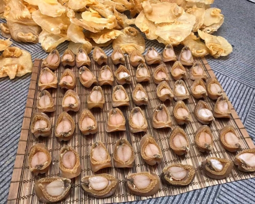 【打針優惠】稻苗學會送花膠鮑魚盆菜及餐飲券 先消費憑收據登記抽獎