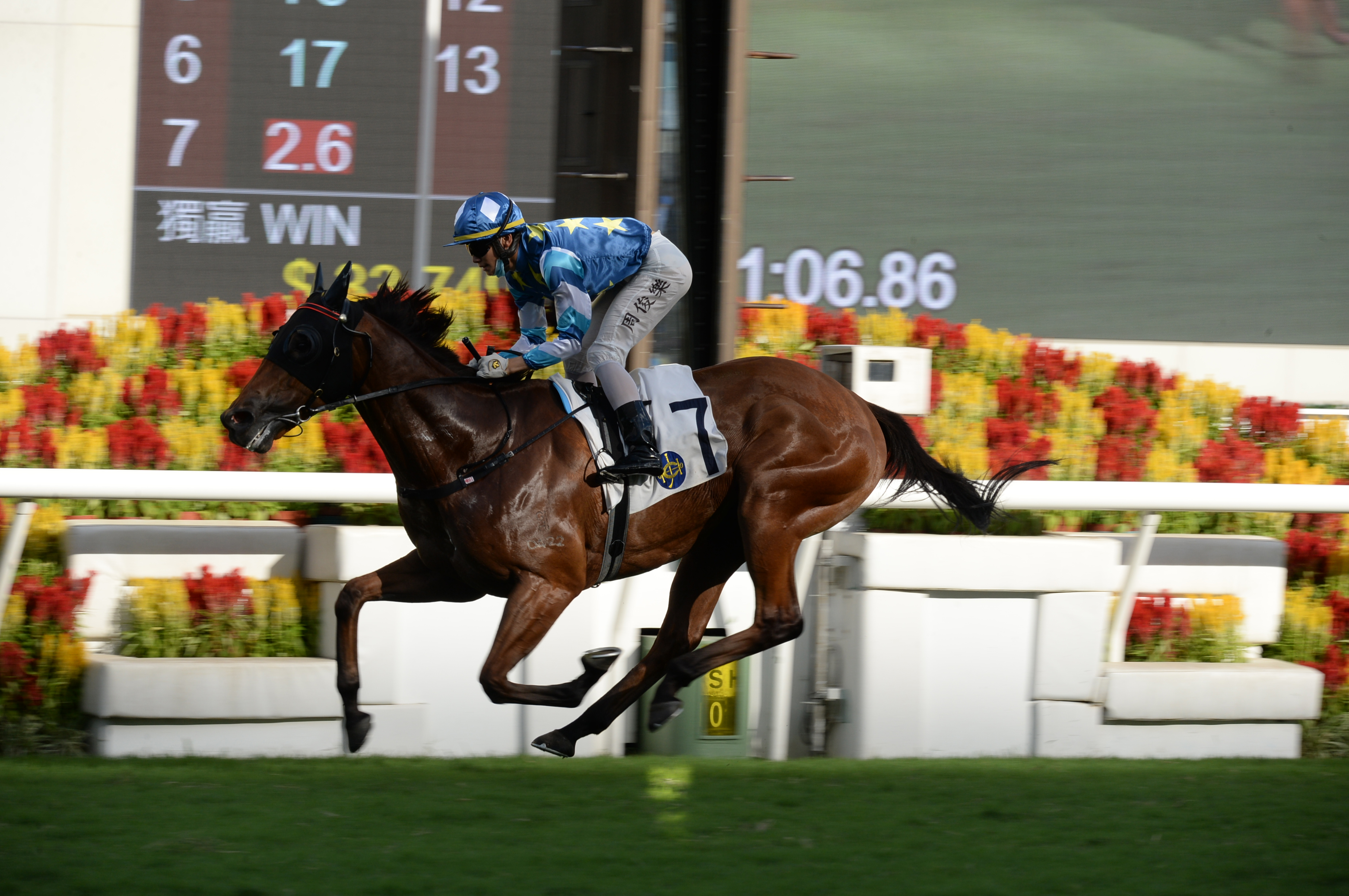 馬場密探048 錶之未來 大熱贏香港馬主協會錦標 頭條日報