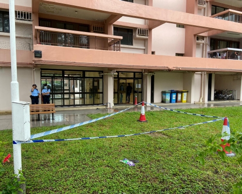 疑打理盆栽失足 警察公共關係科督察屯門宿舍墮樓亡