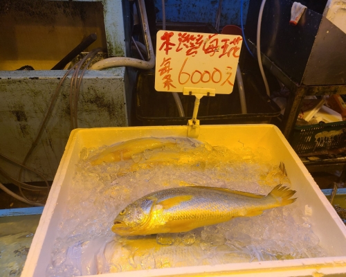 黃花魚︱荃灣楊屋道街市驚現6,000元一條 魚類發燒友：可能物超所值丨網上熱話