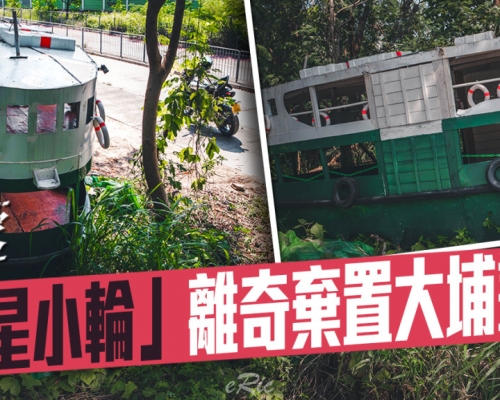 獨家｜「天星小輪」離奇棄置大埔叢林 記者追查真相峰迴路轉