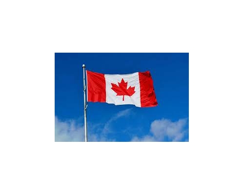 加拿大宣布延長港人「救生艇計劃」2年 放寛申請資格