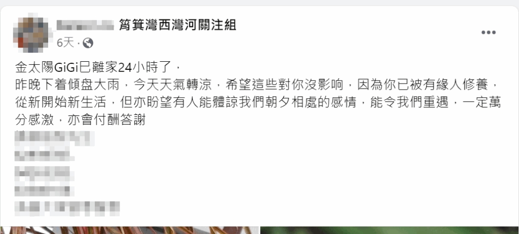 筲箕灣釣魚用品店鸚鵡走失飼主擔心被盜報警