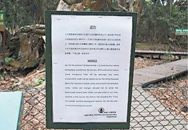 新聞故事 荔枝窩變鬧市百年魚藤打鞦韆地質公園淪 破壞王 樂園 頭條日報