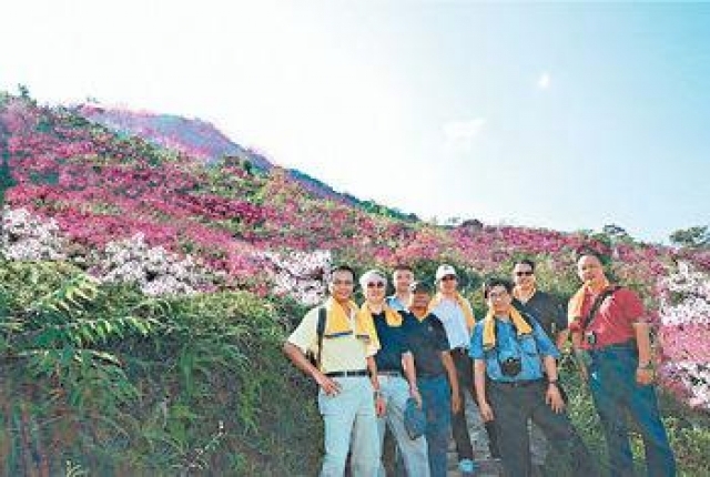 新聞故事 借花節振興東涌旅遊大嶼山杜鵑13 綻放 頭條日報