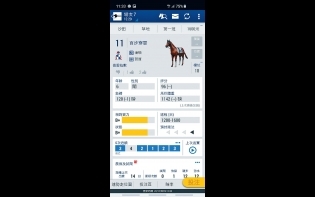賽日頭條——賀賢潘頓桃花旺