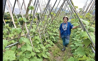 新生代女藝術家系列① 半農半藝 勞麗麗