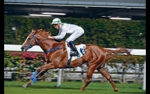 史卓豐後上做騎師王