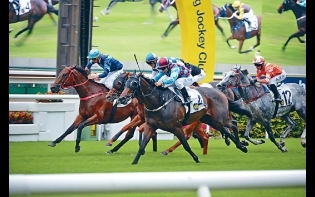 馬場浮世繪——潘明輝昨前進今季勝門