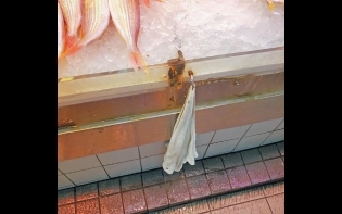 袁國勇警告:發黑恐播毒 魚檔抹手巾超邋遢 生人勿近
