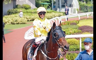 馬場浮世繪——巴度神勇六騎一贏四位