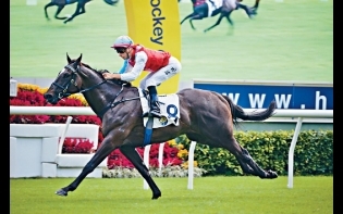 馬場浮世繪——人和家興首匹E布馬贏