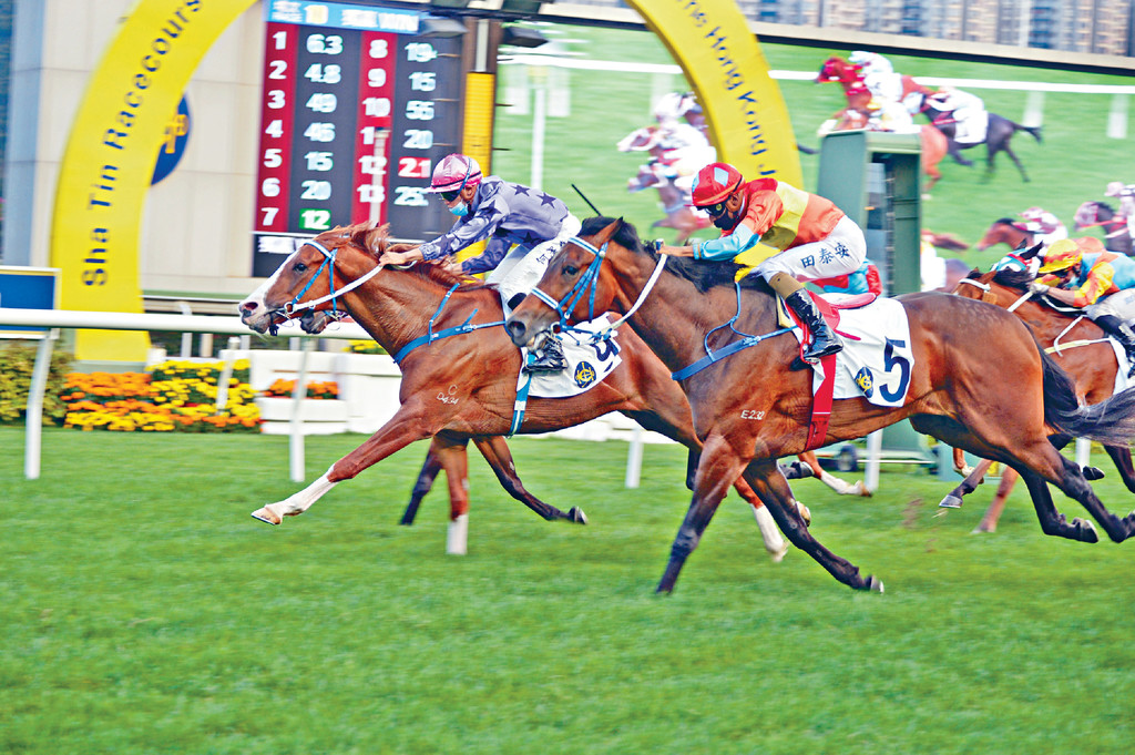 沈集成順勢起孖潘頓險勝騎師王方嘉柏三w重登榜首 頭條日報