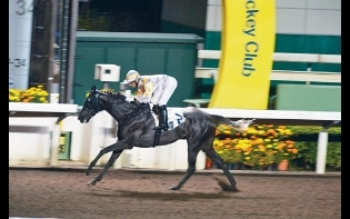 馬場浮世繪——金津一號開齋大勝九個馬位