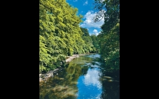 灼見祥談——水不在深