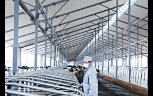 開工前落盤/頭條名家本周心水——優然牧業分注收集