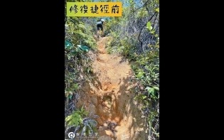 山客爆林闢路 綠蔭慘變禿