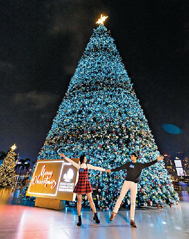 ■巨型聖誕樹有二十米高。